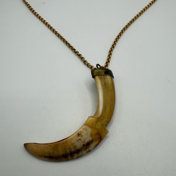Gold Tooth Pendant Necklace - Picture 3 of 5